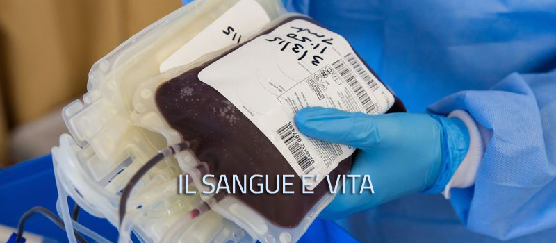 il sangue è vita